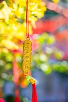 tiến lên trực tuyến Debet